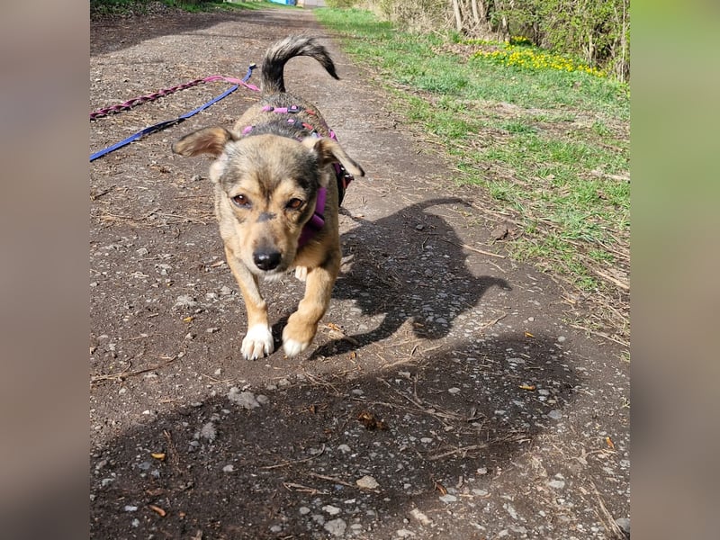 Mary - kleine Mary sucht großes Glück