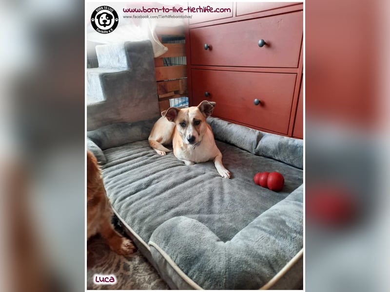 Hübsche Luca sucht liebe Menschen