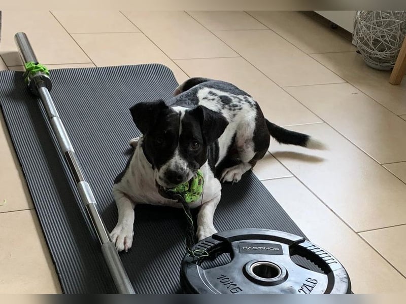 Szuki wartet auf eine zweite Chance