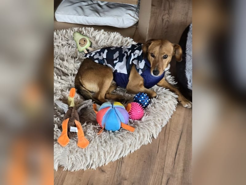 Finn- wartet auf seinen start ins richtige Leben!