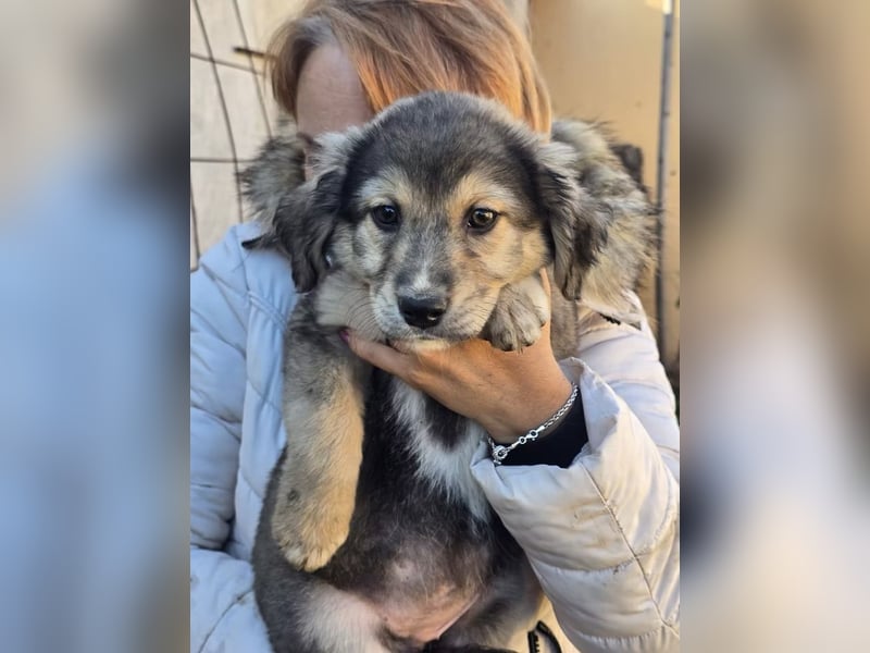 Verity- wartet auf ihr Ticket ins Leben!