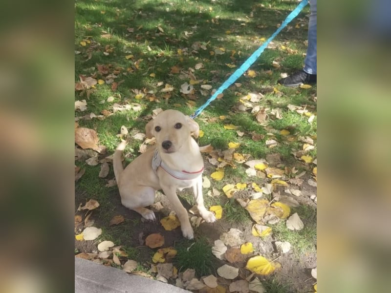 Liah- ist bereit ihr Zuhause für immer zu finden