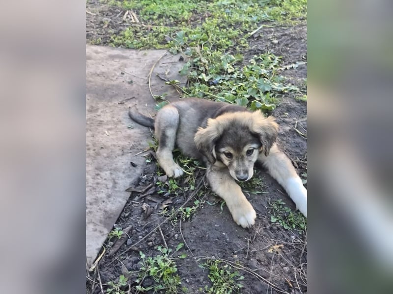 Verity- wartet auf ihr Ticket ins Leben!