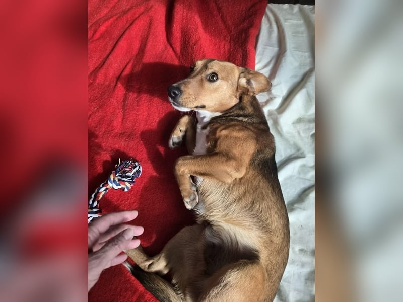 Finn- wartet auf seinen start ins richtige Leben!