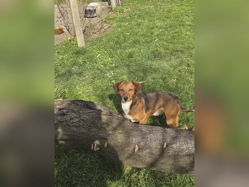 Finn- wartet auf seinen start ins richtige Leben!