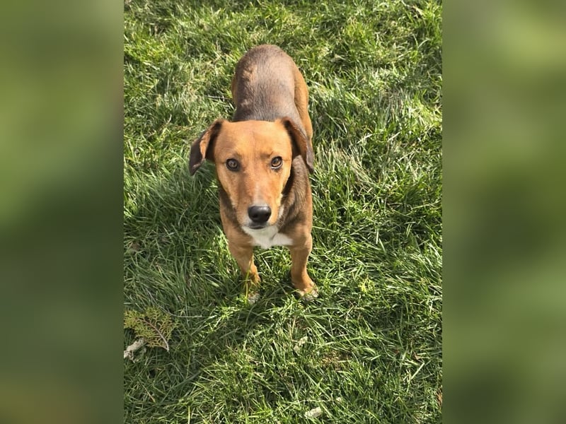 Finn- wartet auf seinen start ins richtige Leben!