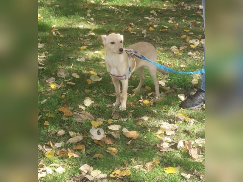 Liah- ist bereit ihr Zuhause für immer zu finden