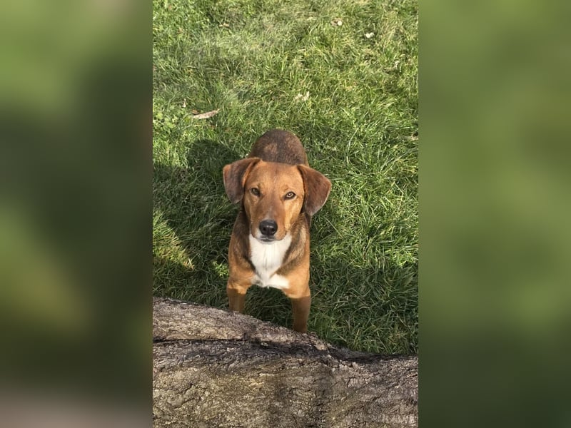 Finn- wartet auf seinen start ins richtige Leben!