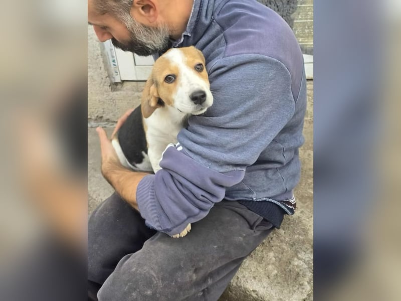 Dala- ist bereit ihr für immer zuhause zu finden