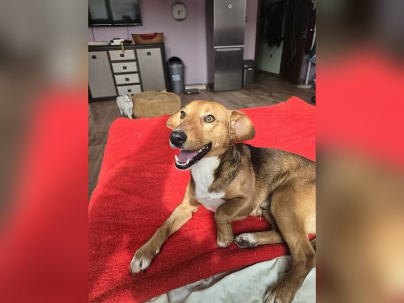 Finn- wartet auf seinen start ins richtige Leben!