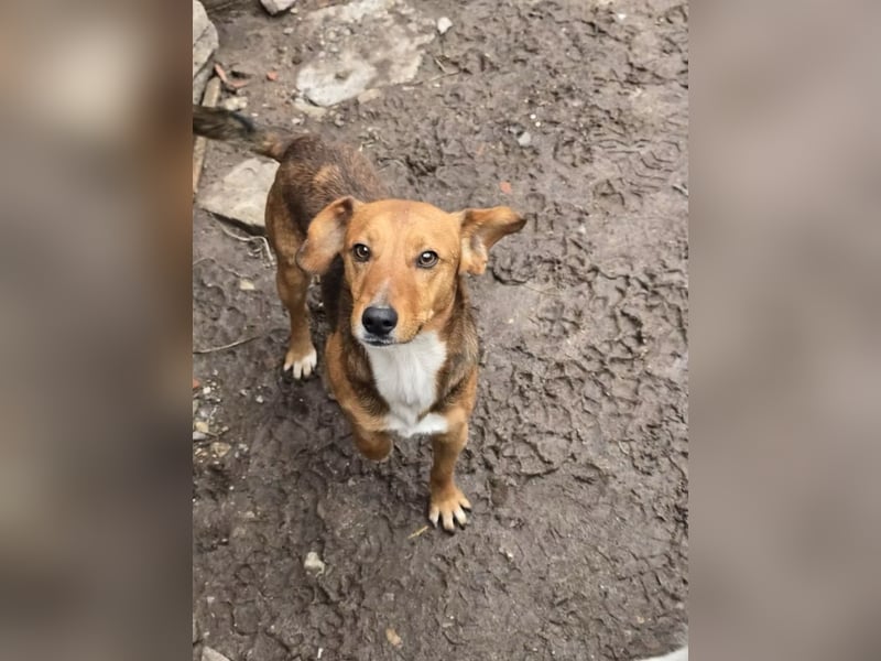 Finn- wartet auf seinen start ins richtige Leben!