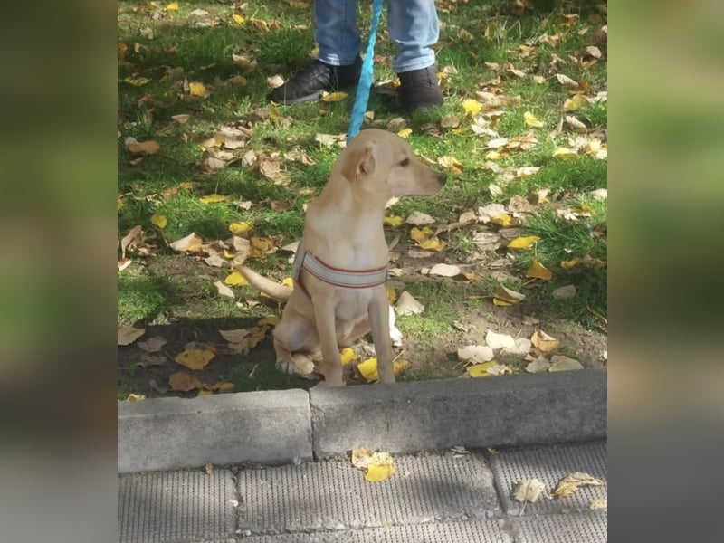 Liah- ist bereit ihr Zuhause für immer zu finden