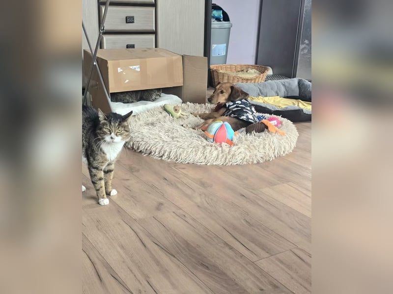 Finn- wartet auf seinen start ins richtige Leben!