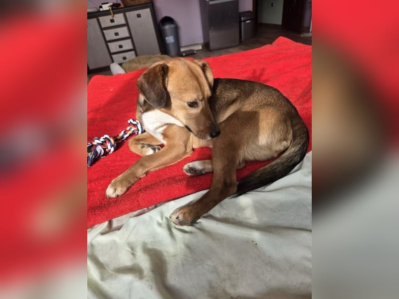 Finn- wartet auf seinen start ins richtige Leben!