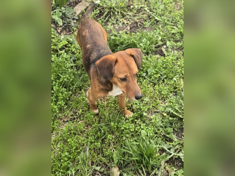 Finn- wartet auf seinen start ins richtige Leben!