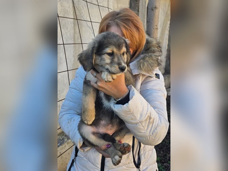 Verity- wartet auf ihr Ticket ins Leben!