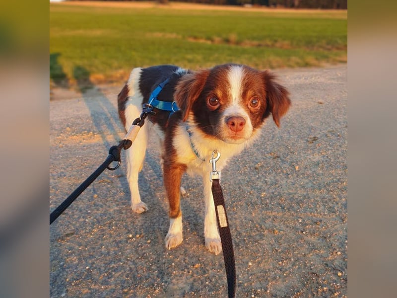 Tala - ist schüchtern