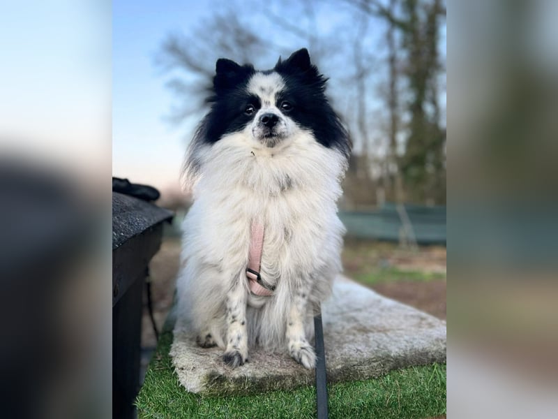 Zoe - ist kommunikativ