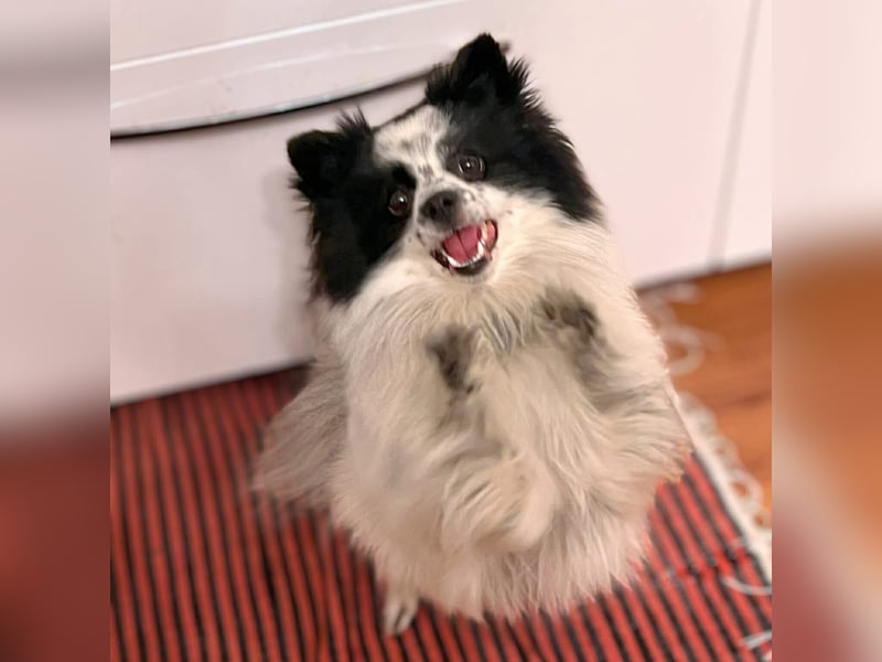 Zoe - ist kommunikativ