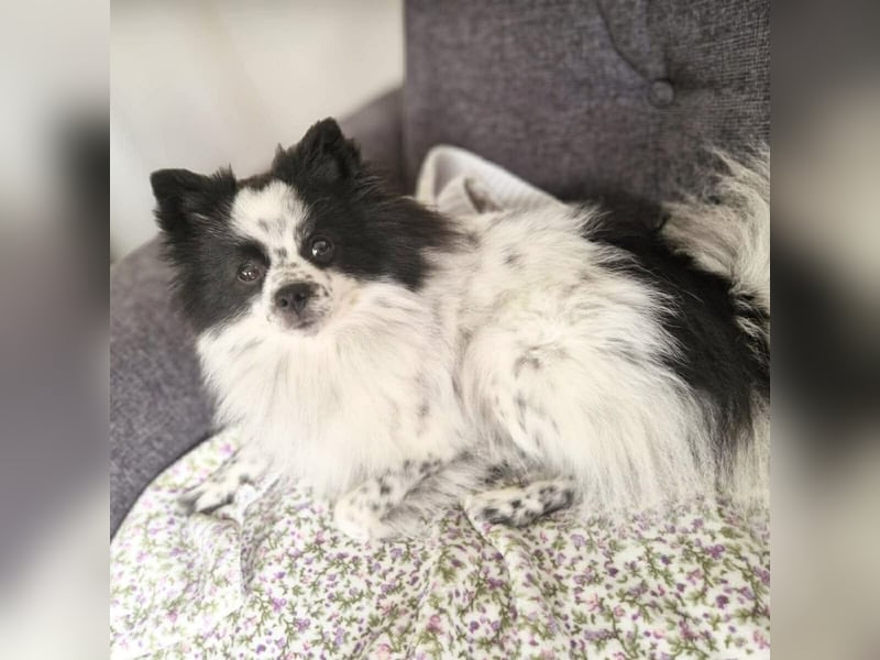 Zoe - ist kommunikativ