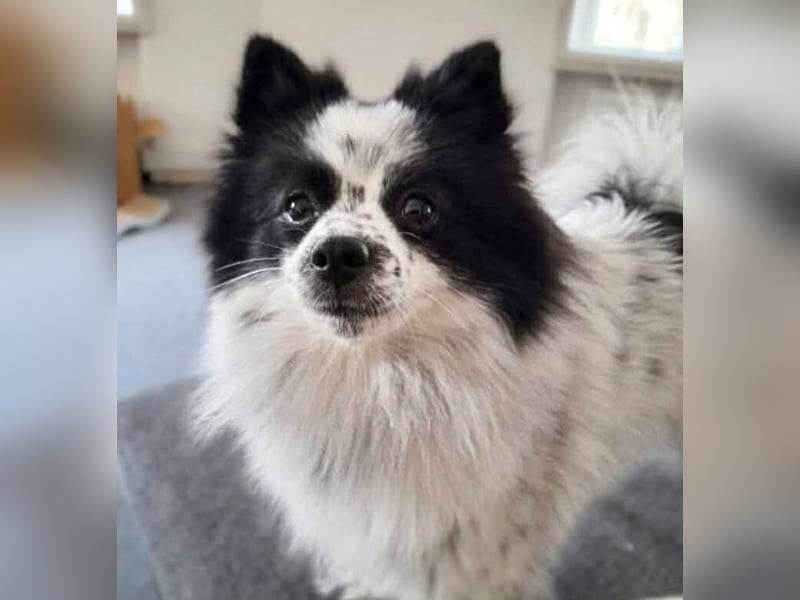 Zoe - ist kommunikativ