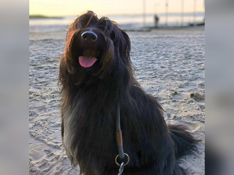 Ballou - ist kinderlieb