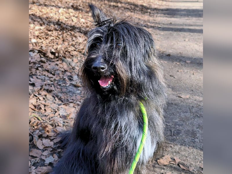 Ballou - ist kinderlieb