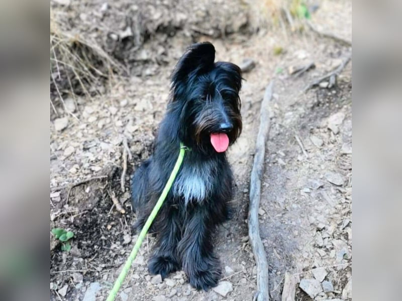 Ballou - ist kinderlieb