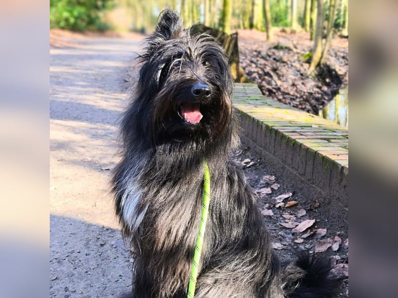 Ballou - ist kinderlieb