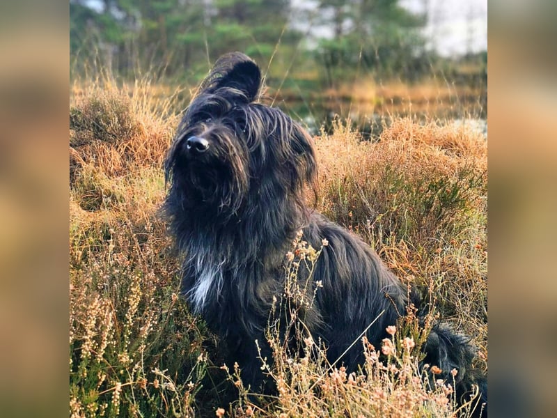 Ballou - ist kinderlieb