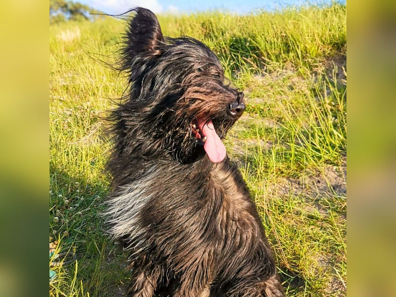 Ballou - ist kinderlieb