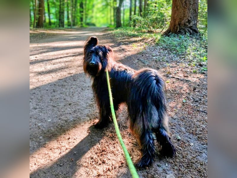 Ballou - ist kinderlieb