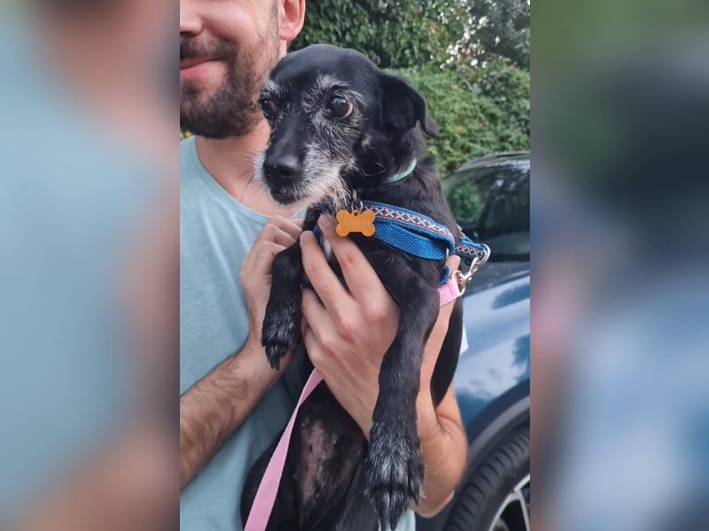 Paca - graue Schnute sucht jemanden für Streicheleinheiten Paca - graue Schnute sucht jemanden für Streicheleinheiten