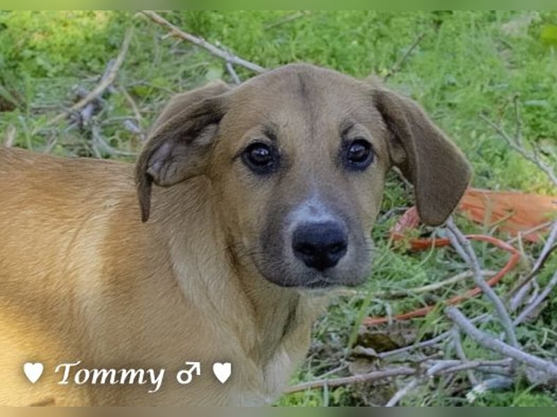 Zwei kleine Jungs   suchen ein Zuhause