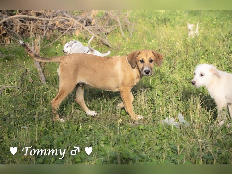 Zwei kleine Jungs   suchen ein Zuhause