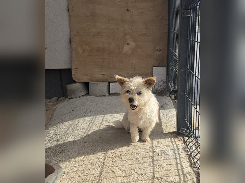 Imani - heisst Glaube und wir glauben an ein Happy End