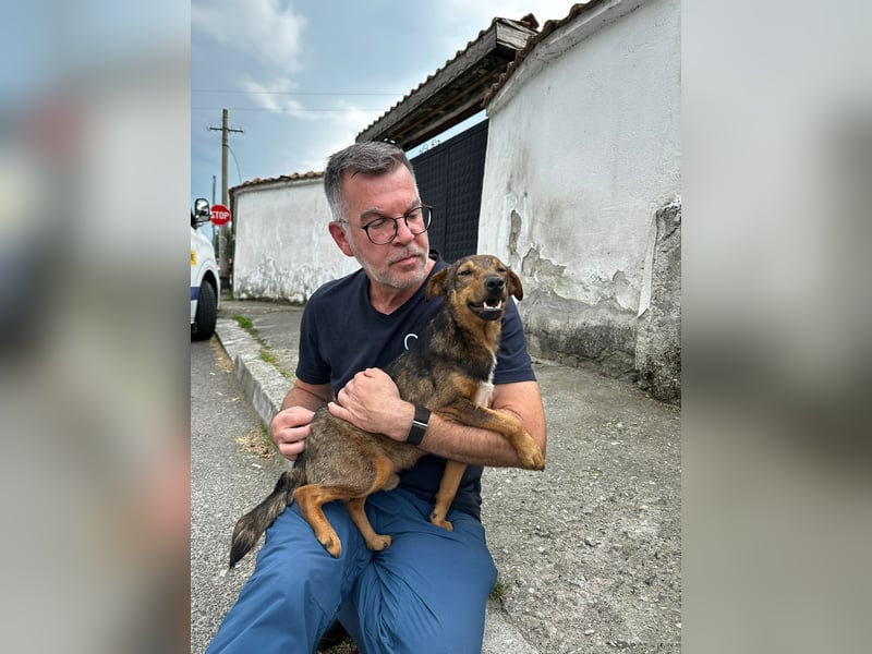 Bobby - fast zweijähriger sucht sein Zuhause - vielleicht bei Dir ?