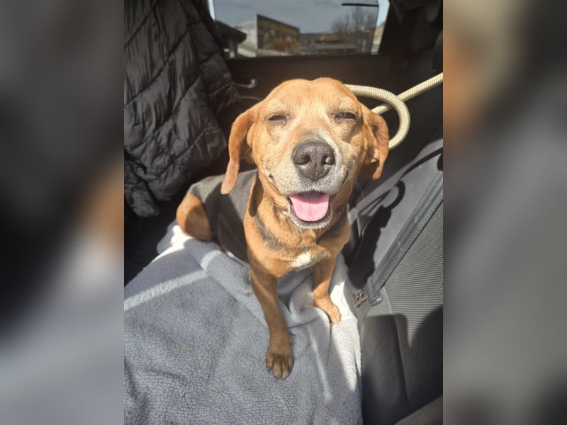 Frida - der Sonnenschein