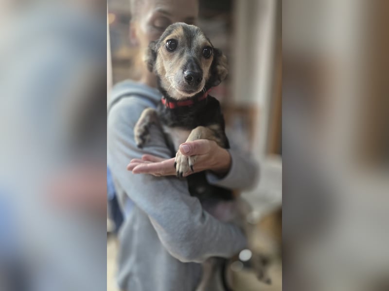 kleine Zoe - sucht eine Famile, die ihr zeigt wie schön das Leben ist