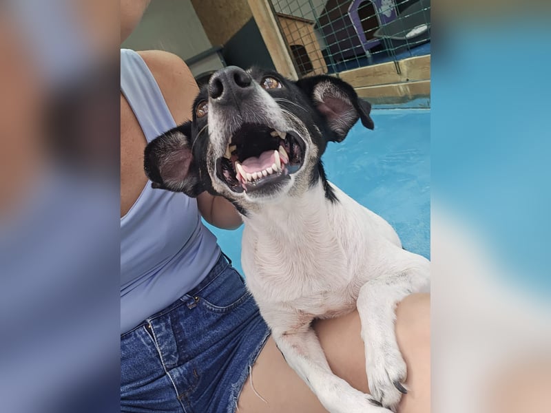 Anne - sucht einen Menschen der sie findet und lieb hat
