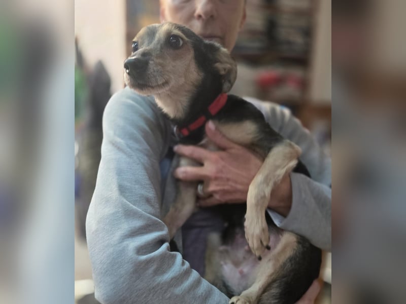 kleine Zoe - sucht eine Famile, die ihr zeigt wie schön das Leben ist