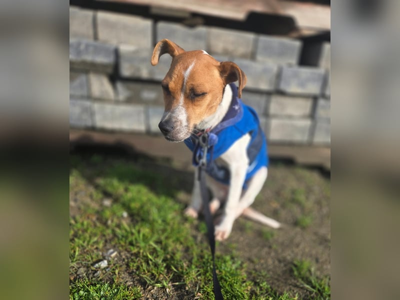 Ria - kleiner Sonnenschein