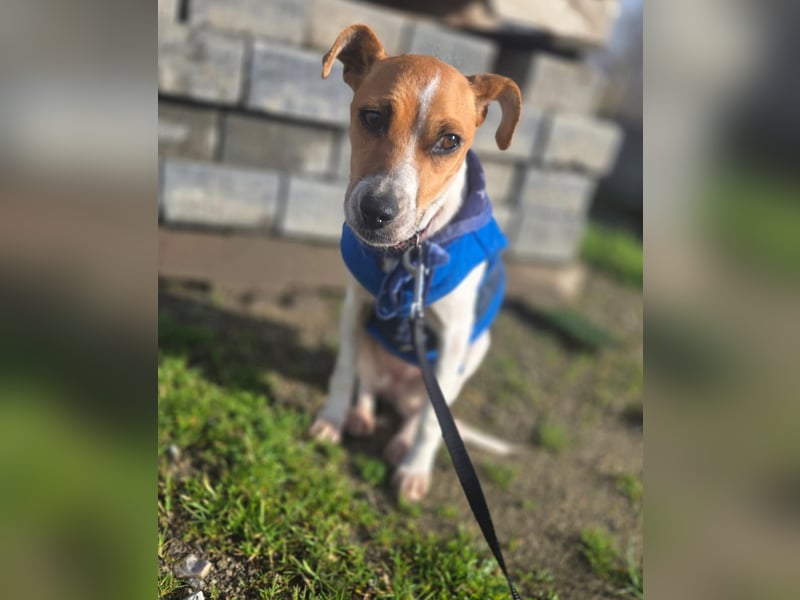 Ria - kleiner Sonnenschein