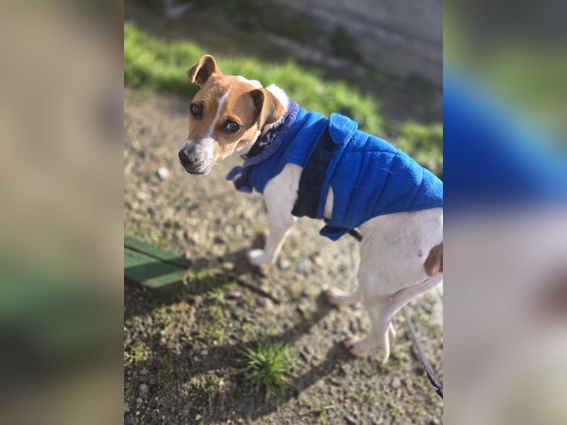 Ria - kleiner Sonnenschein