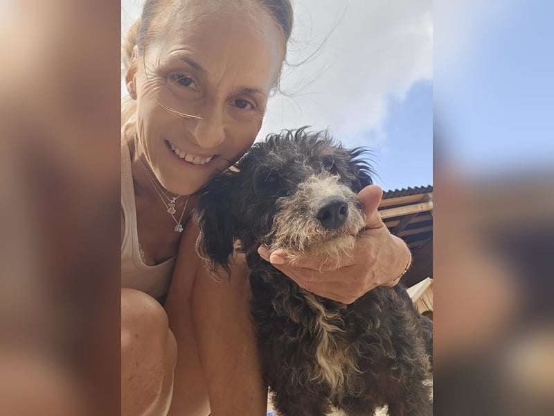 Lawinia - Hundemama - sucht Dich für ihr eigens Zuhause - bist du ihr Place to be für immer ?