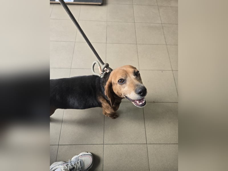 Frida - der Sonnenschein