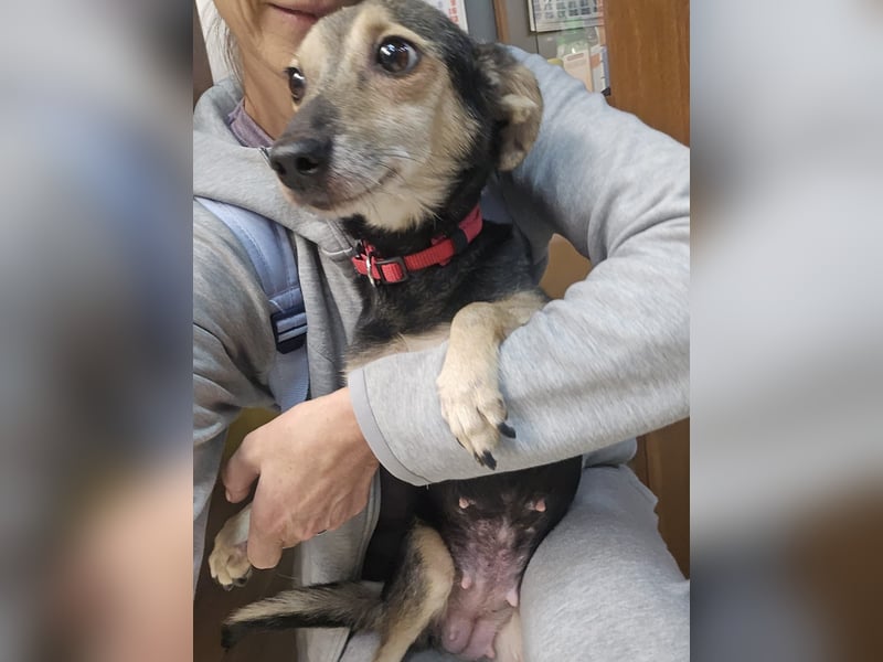 kleine Zoe - sucht eine Famile, die ihr zeigt wie schön das Leben ist