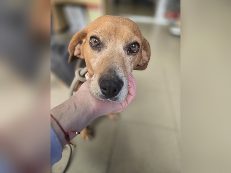 Frida - der Sonnenschein