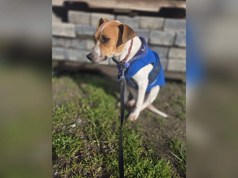 Ria - kleiner Sonnenschein