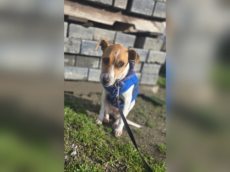 Ria - kleiner Sonnenschein